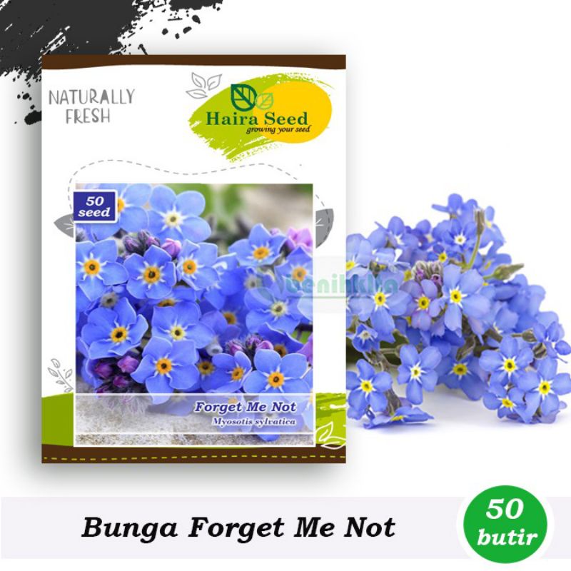 Benih-Bibit Bunga Forget Me Not (Haira Seed)0Benih-Bibit Bunga Forget Me Not (Haira Seed)