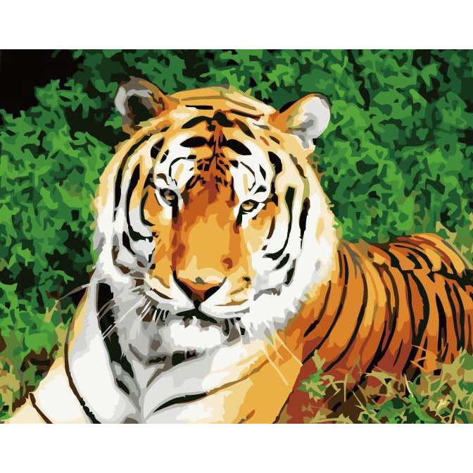 

Paint By Number - DIY Art Set Canvas - Resting Tiger - 50 x 40 CM