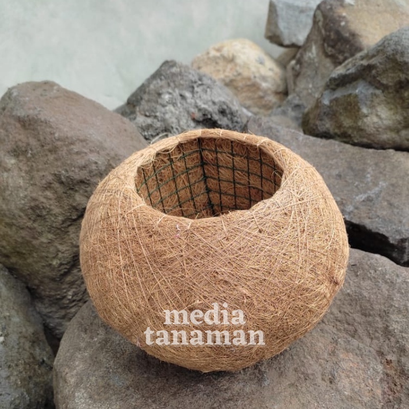 pot kokedama cover pot unik dari serabut sabut kelapa dekorasi indoor