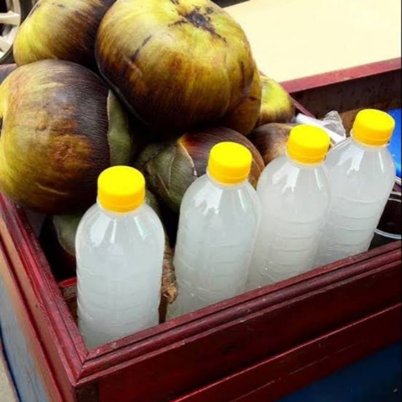 

cuka asli dari pohon siwalan/lontar berhasiat