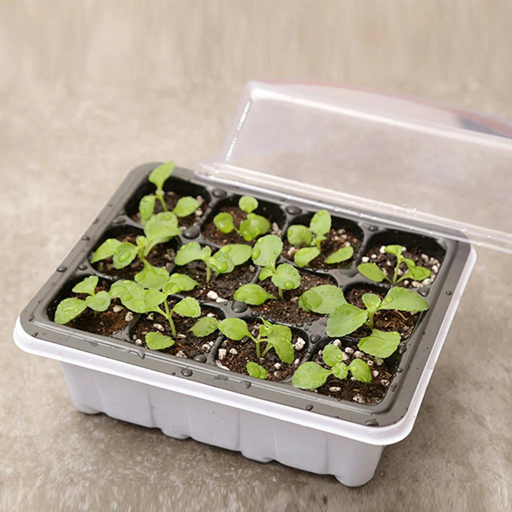 6/12 Holes Seedling Trays Seed Starter Starter Plant Flower Grow Seed Tray Box/Propagation For Gardening Grow Starting Germination Plastic Nursery Pots