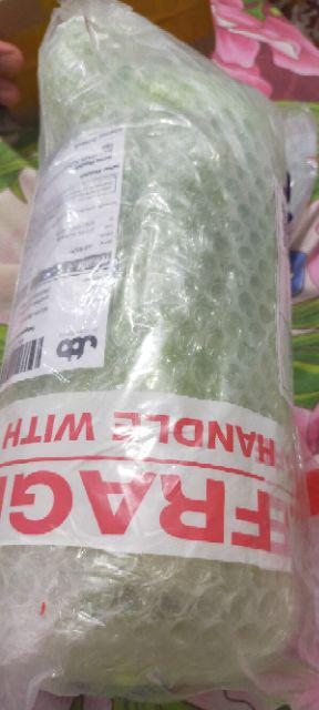 Botol Minum Herbalife 1 Liter Warna Hijau