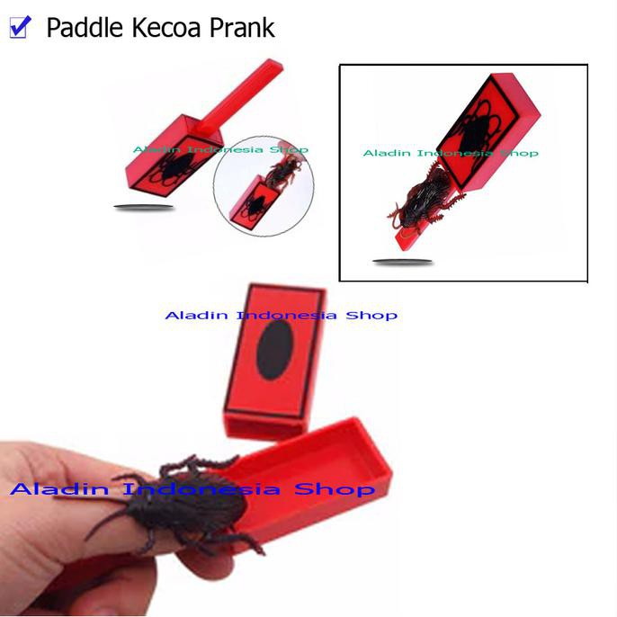 TERLARI5 Prank paddle kecoa- Alat Sulap Jail - Jokes - Alat Sulap