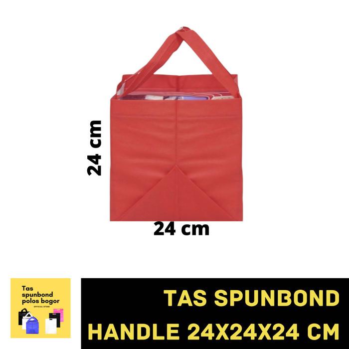 

Goodiebag Goodie Bag Tas Spunbond Handle Box 24X24X24 Cm - Lusinan