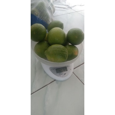 

JERUK LEMON SEGAR/ FRESH 1 KG