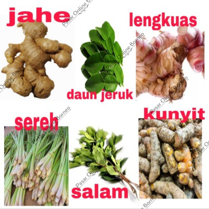 Paket Bumbu Dapur Per Pack Rempah Rempah