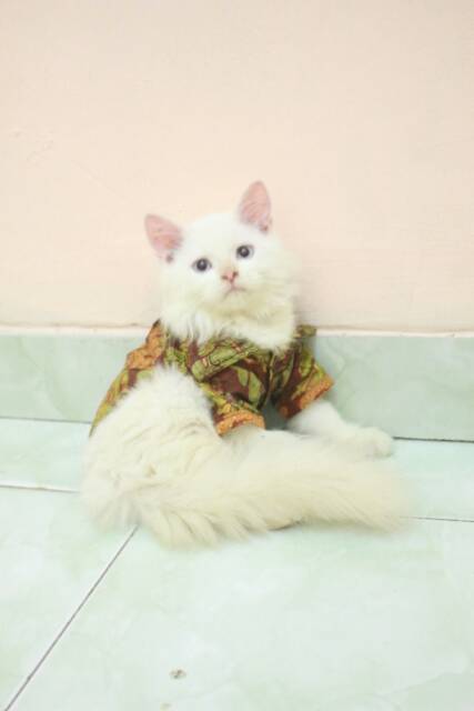 Kemeja batik jawa lucu untuk kucing dan anjing / baju kucing murah meriah size S M L XL