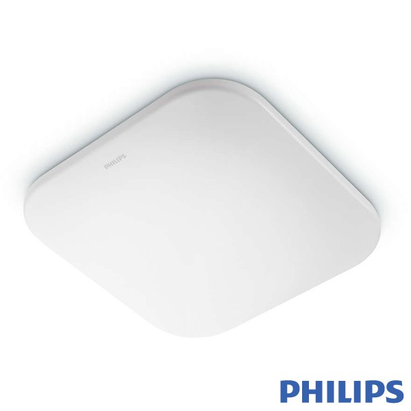 Lampu Philips baret kotak 31110 17w