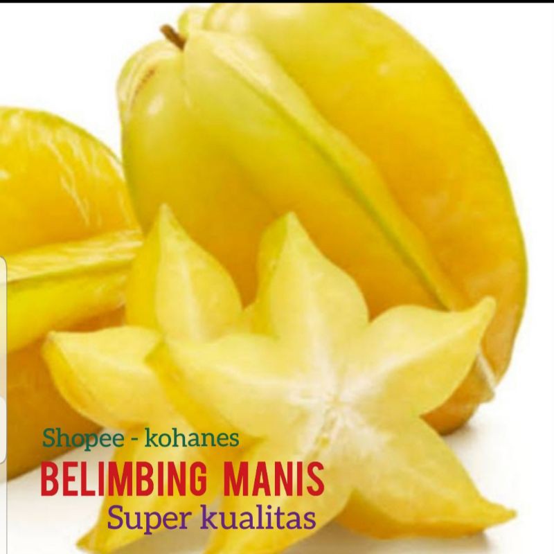 

BELIMBING DEWI MANIS
