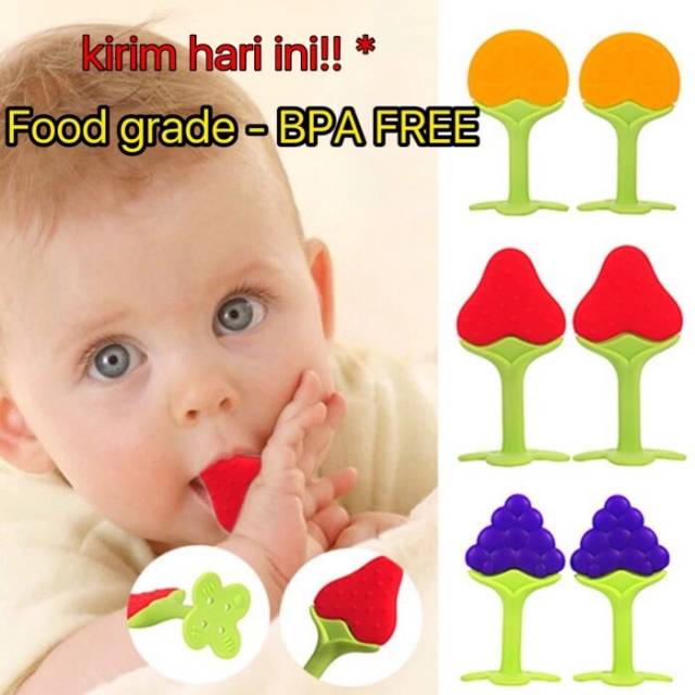 Teether Bayi Silicone Gigitan Bayi Buah Silikon BPA Free P21