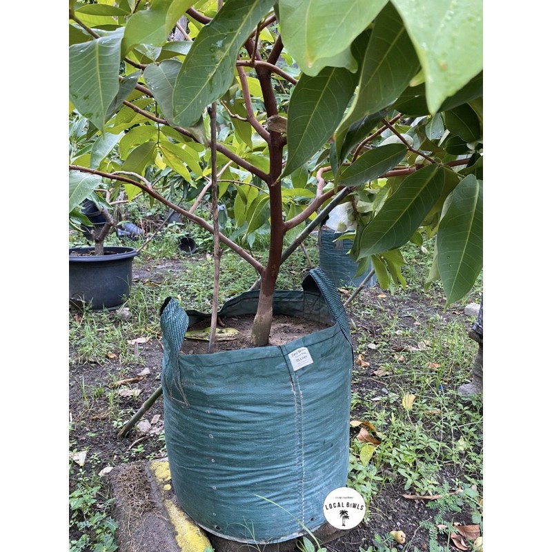 planter bag Easy Grow 75 liter