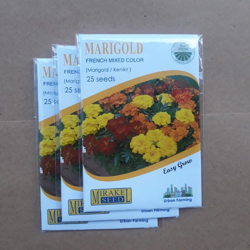 BENIH BUNGA MARIGOLD