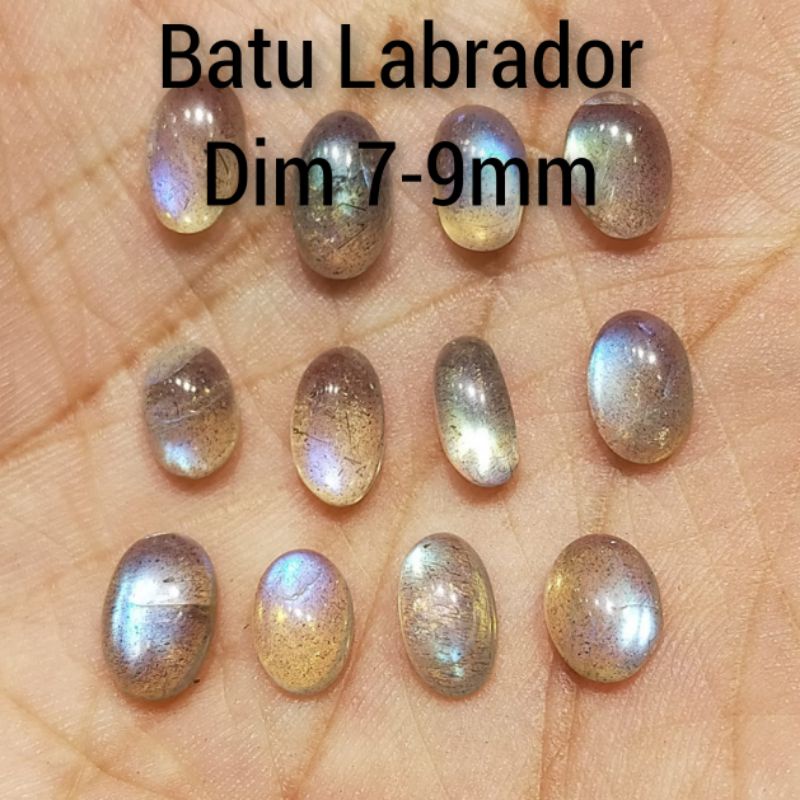 batu Labrador ukuran kecil asli natural