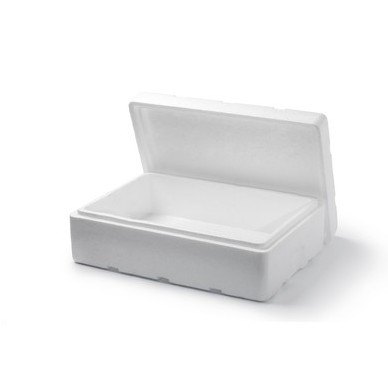 Styrofoam Box