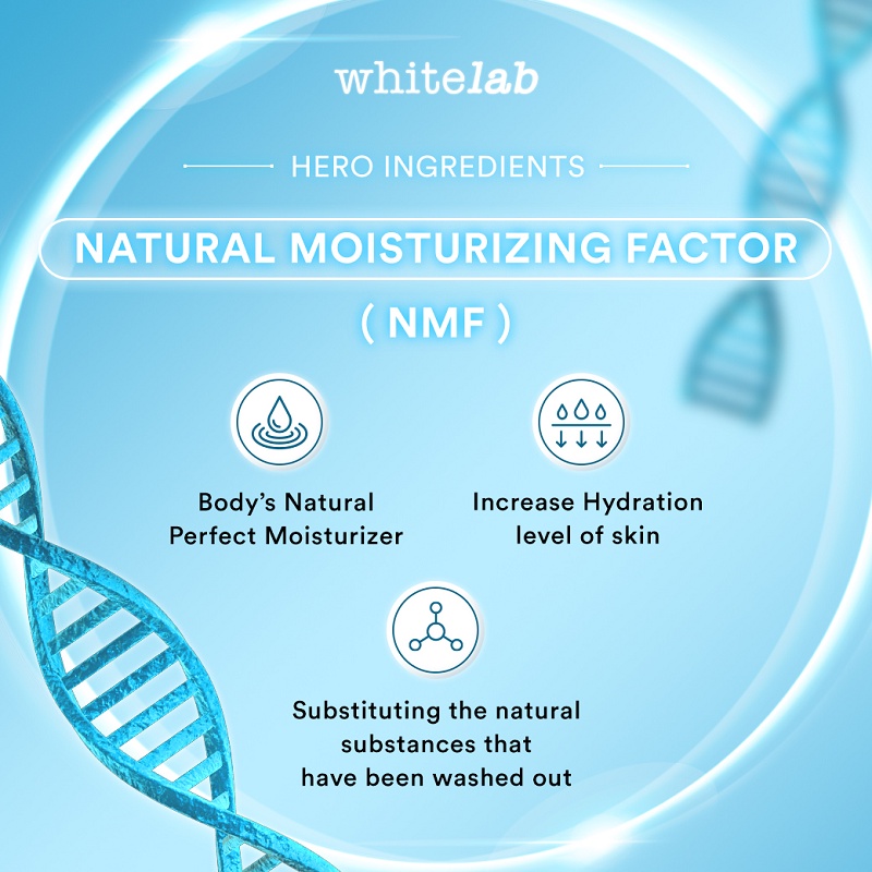 Whitelab Natural Moisturizing Factor (NMF) Serum 20 gr