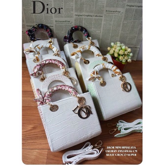 Dior lady himalaya