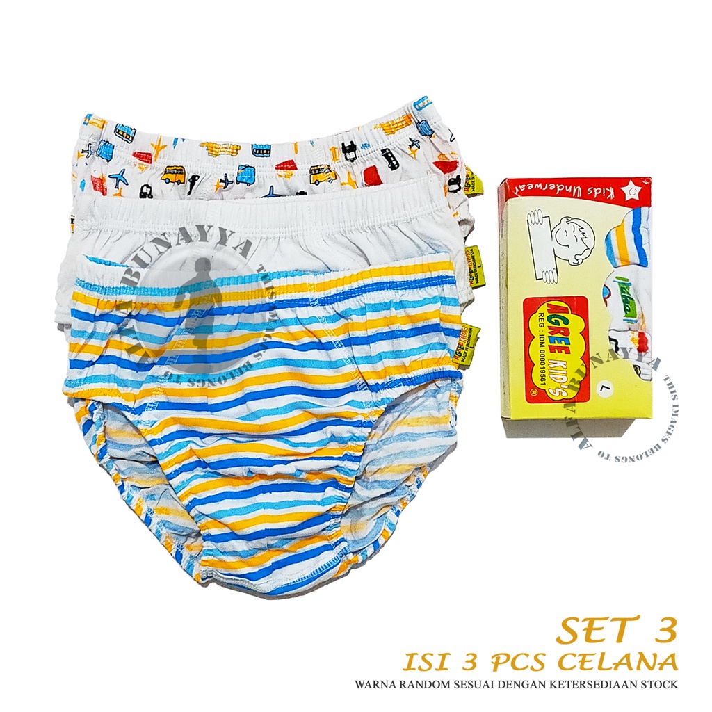 Set isi 3 Celana Dalam Anak Laki - Laki AGREE Kid NGS C15 CD Underwear Berkualitas