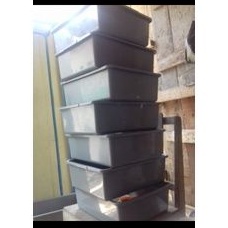 box kotak wadah telur larva maggot bsf ukuran 33x28x13
