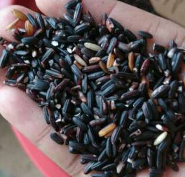 

KETAN HITAM 1 Liter