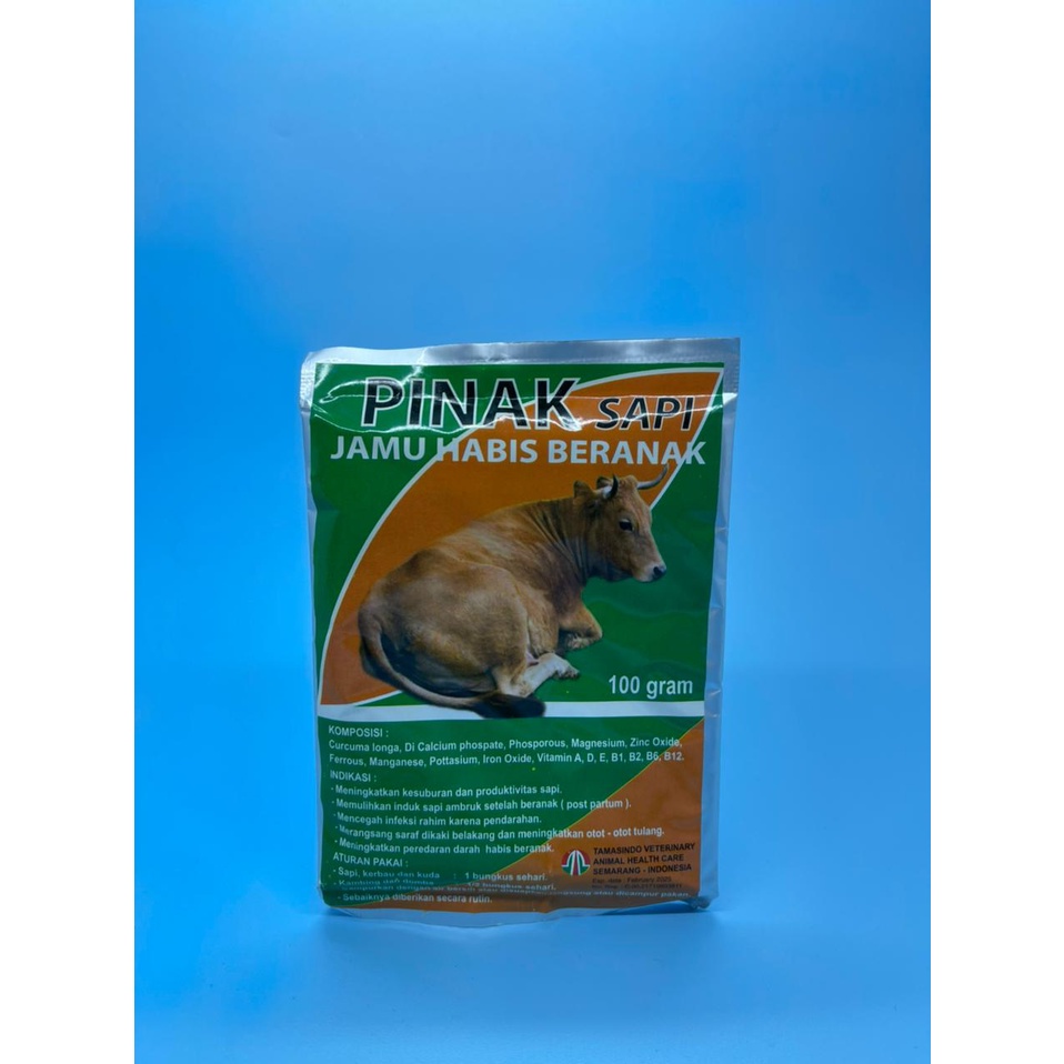 PINAK sapi meningkatkan birahi, kesuburan, pemulihan habis beranak