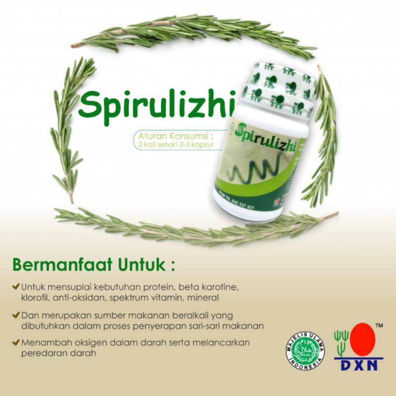 DXN Spirulizhi