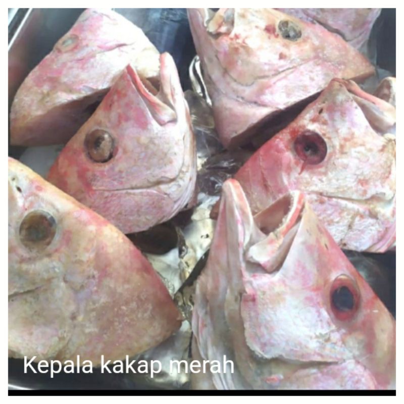 

kepala kakap merah 1kg super quality