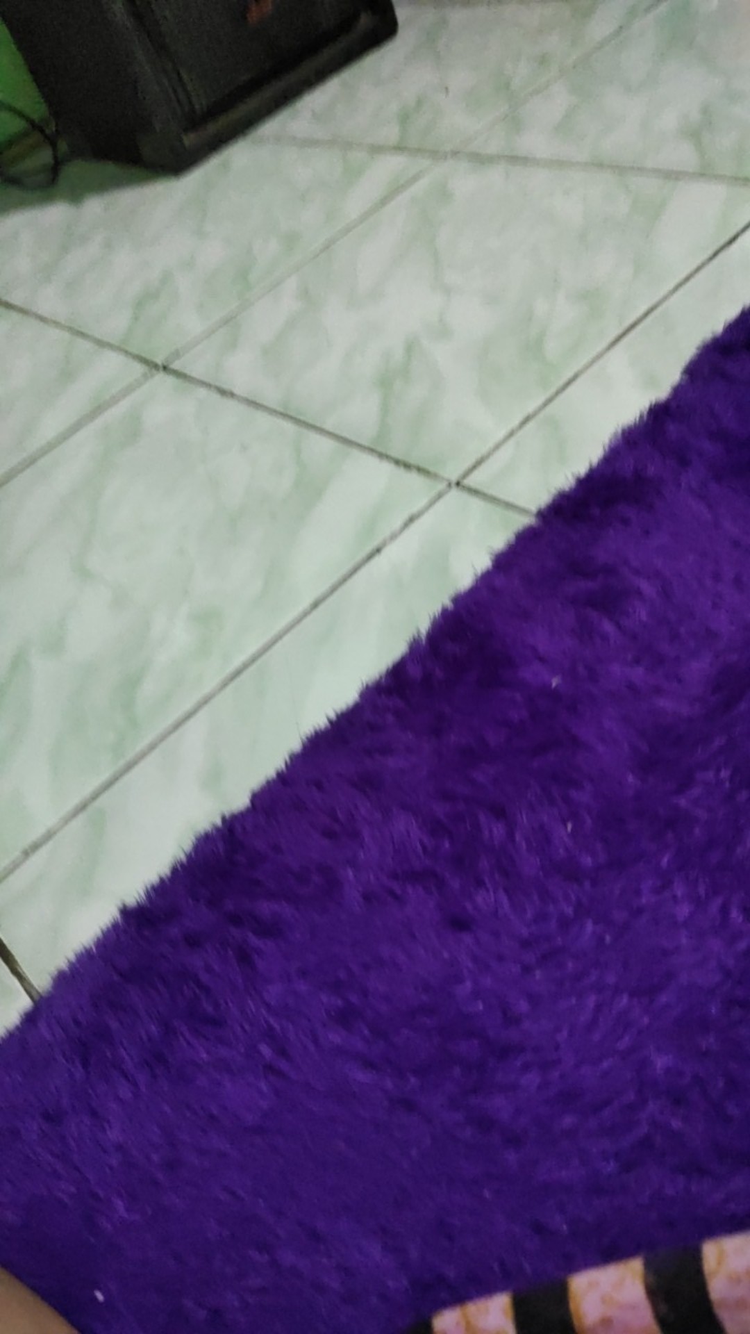 Golsem Jagal Sembeleh Kayu Sonokeling