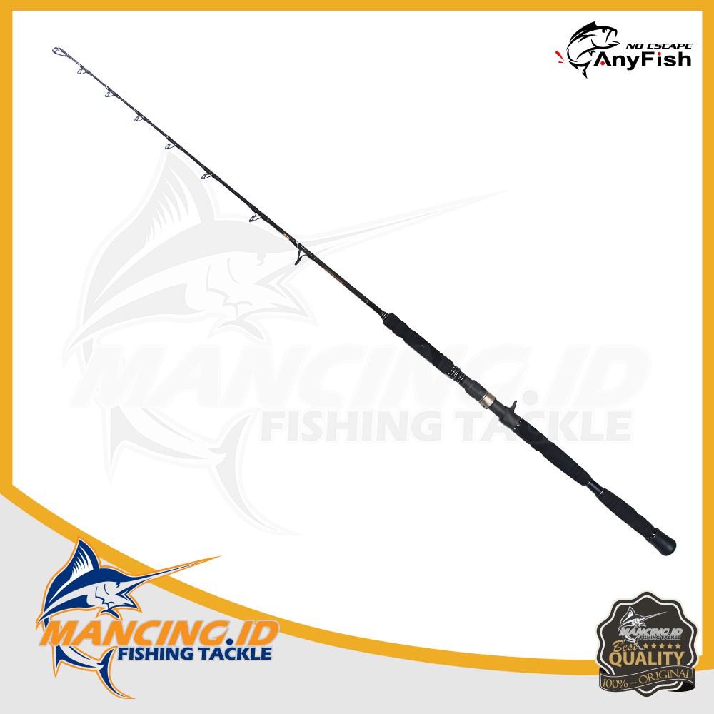 Anyfish Rod Tsunami PE 4-6 Pancingan FUJI Casting Rod BC KUAT
