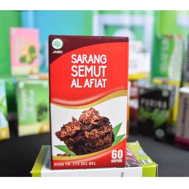 Kapsul SARANG SEMUT AL-AFIAT, Obat Herbal Kanker Tumor, Obat Penyakit Ginjal, Obat Diabetes, Obat Us