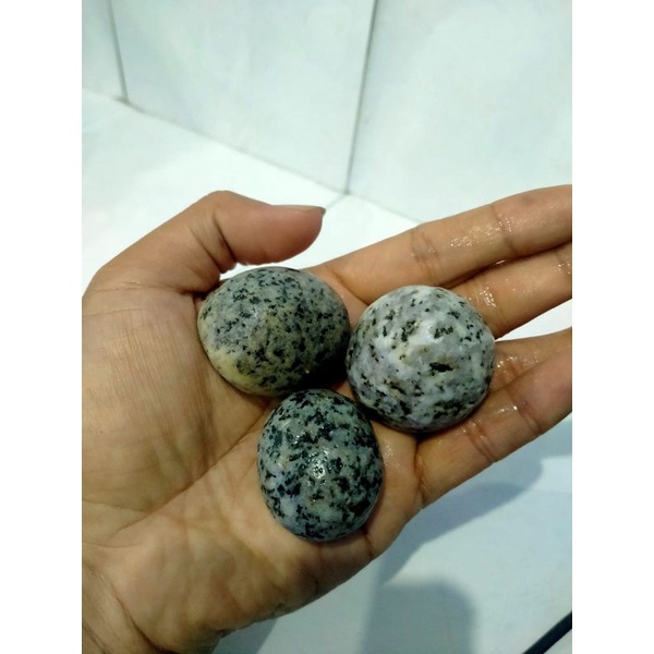 Jual Batu Telur Puyuh Batu Hias Akuarium Baru Alam Taman Shopee Indonesia