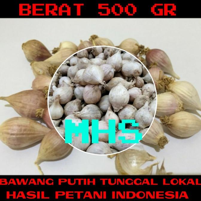 

Bawang Putih Tunggal Bawang Lanang Lokal 500 gr