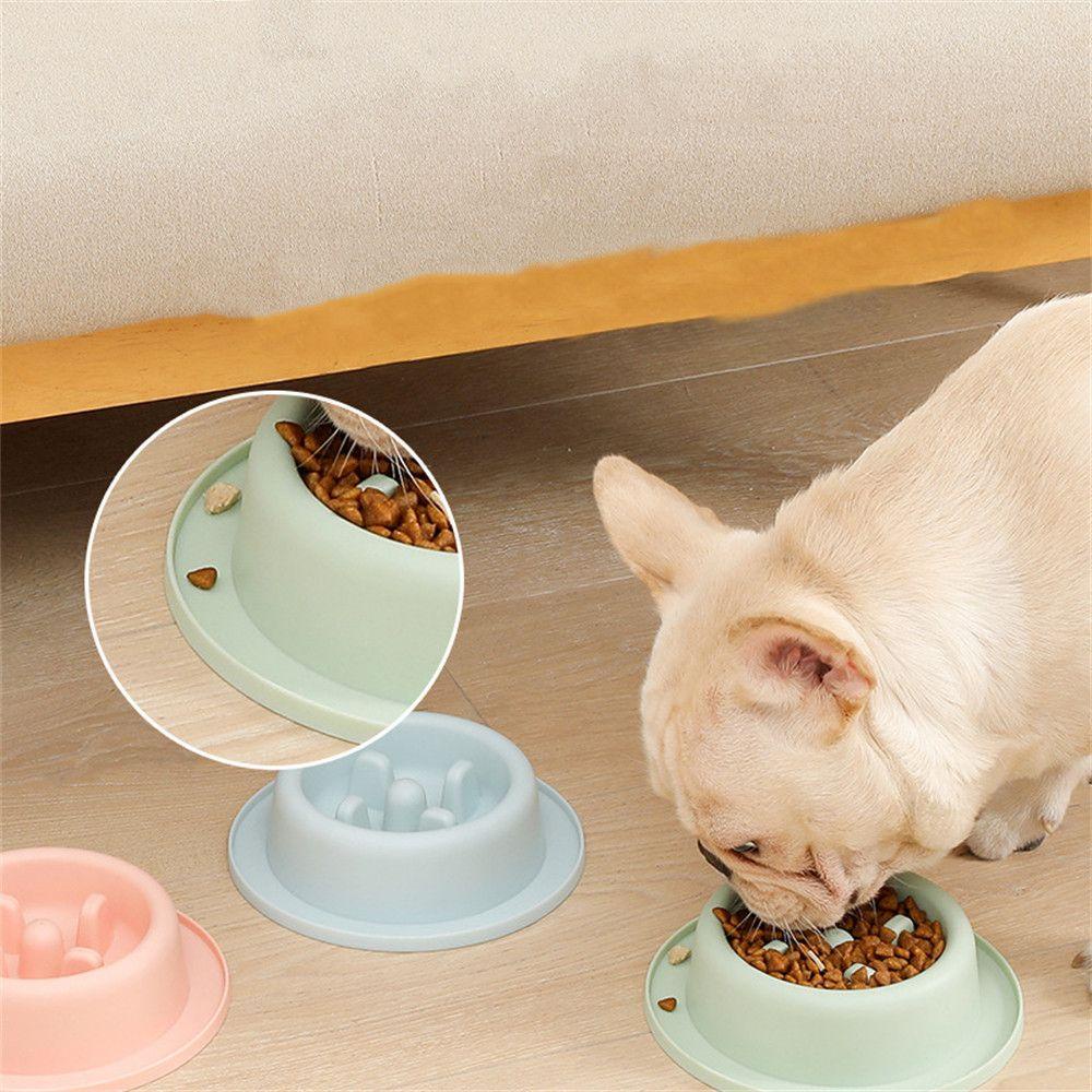 Solighter Slow Feeder Bowl Anti Teguk Ramah Lingkungan Makan Lambat Anti Sedak Mangkuk Puppy Food Dispenser Bowl Pet Baskom