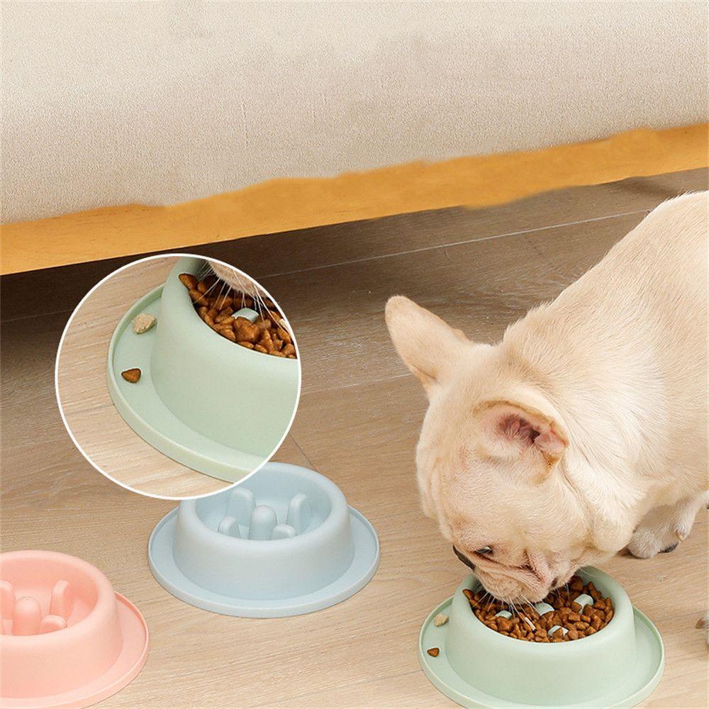 Top Slow Feeder Bowl Anti Teguk Ramah Lingkungan Makan Lambat Anti Tersedak Mangkuk Dispenser Makanan Puppy Mangkuk Pet Baskom