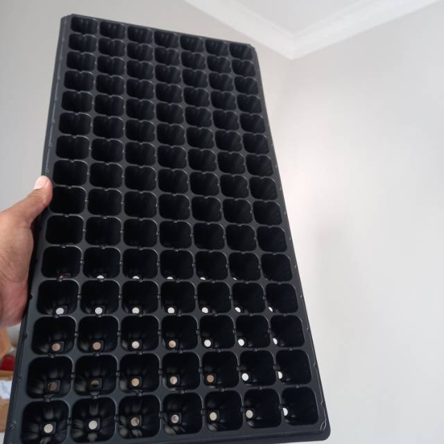 Tray Semai 105 Lubang (Pot Tray / Pottray / Pot Semai)