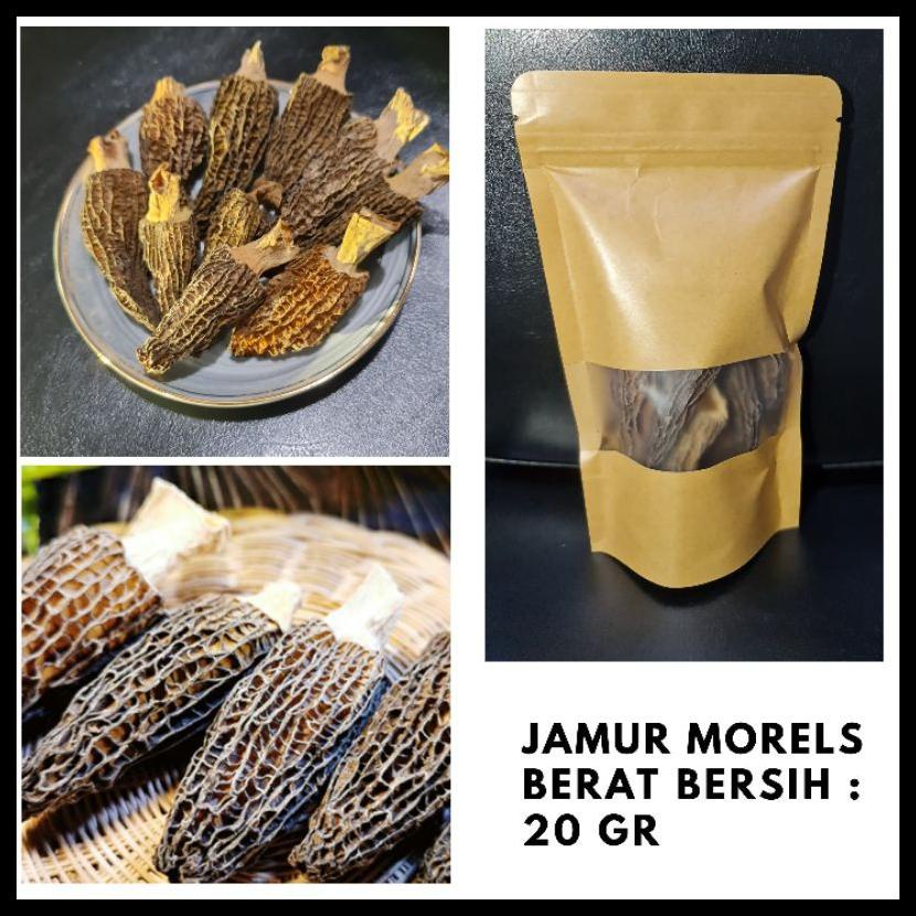 

JAMUR MOREL KERING / DRIED MOREL MUSHROOM (20GRAM) DARI YUNNAN AGHS1