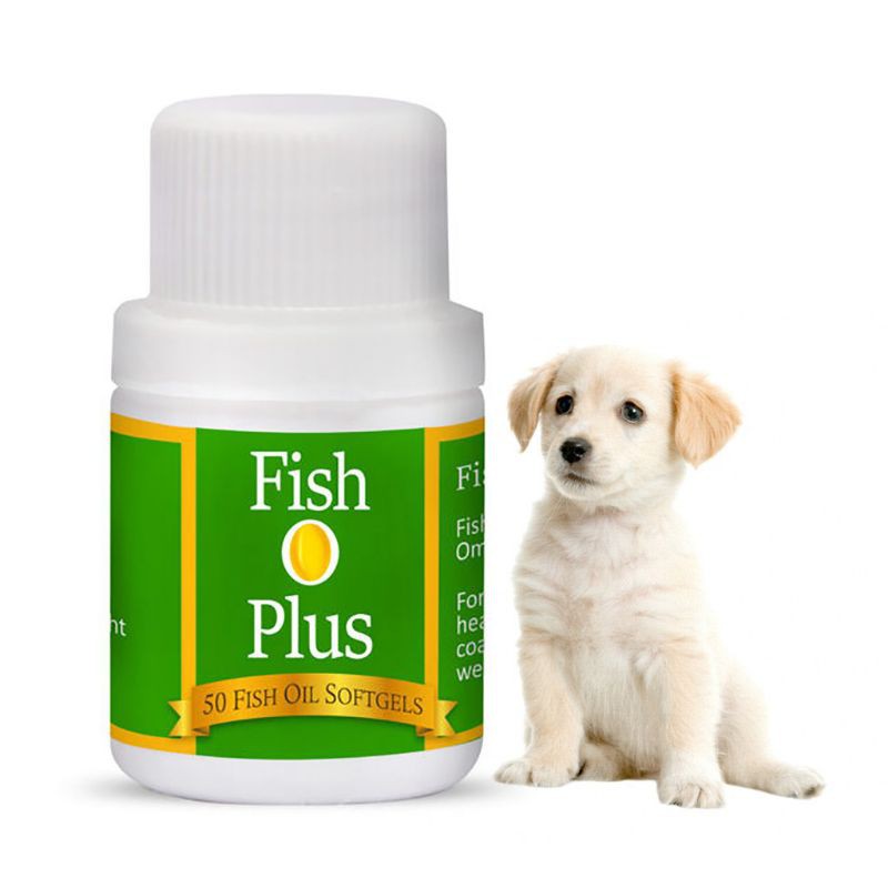 Fish O Plus 50 Softgels / Minyak Ikan Anjing Kucing