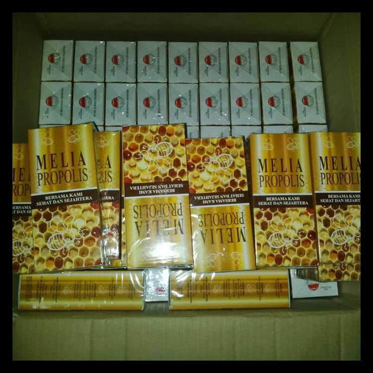 PROPOLIS MELIA, PROPOLIS MELIA ISI 55 ML