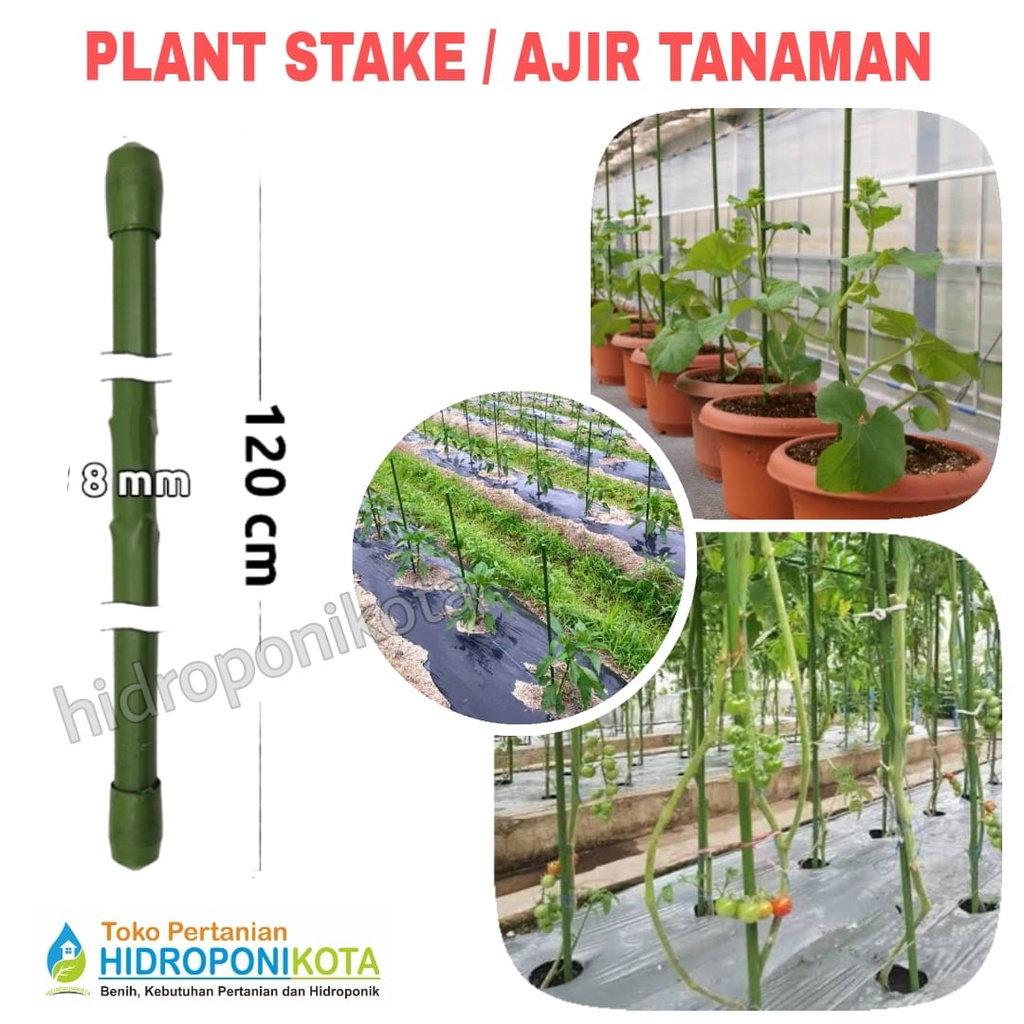 AJIR LURUS 8 mm X 120 cm - plant stake - penyangga tanaman