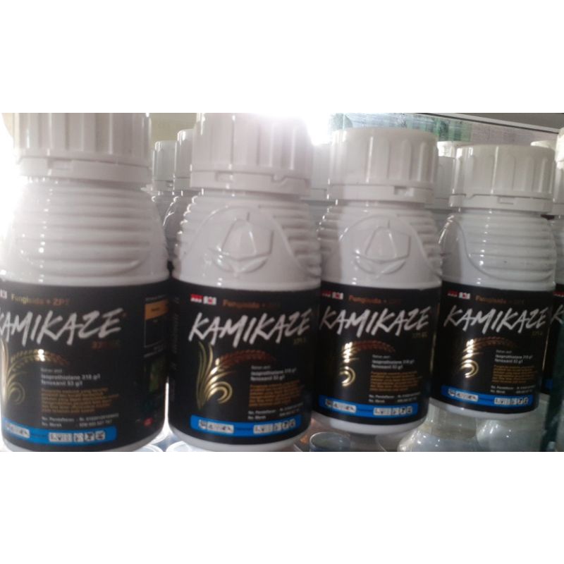 KAMIKAZE FUNGSIDA 371 EC