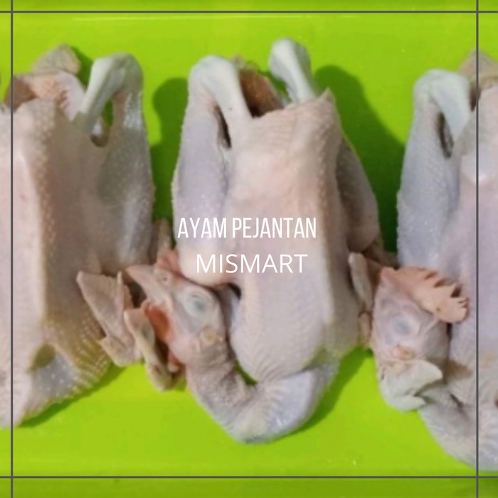

AYAM PEJANTAN PER EKOR ( 700-900gr ) - potong 12 - potong 12