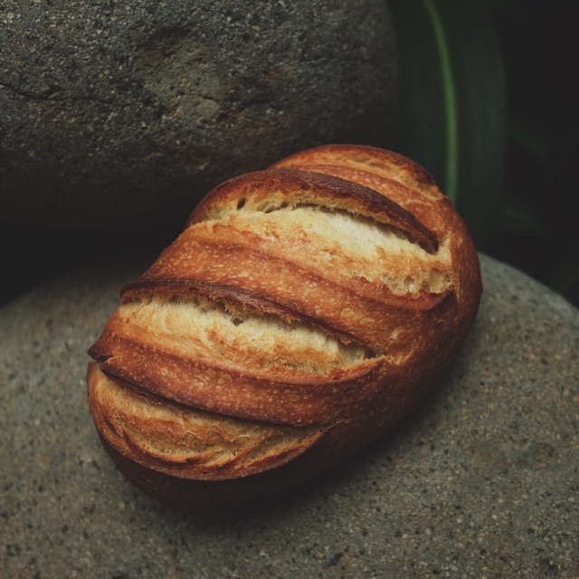 

Milk and honey sourdough. Roti ragi alami rasa susu madu.