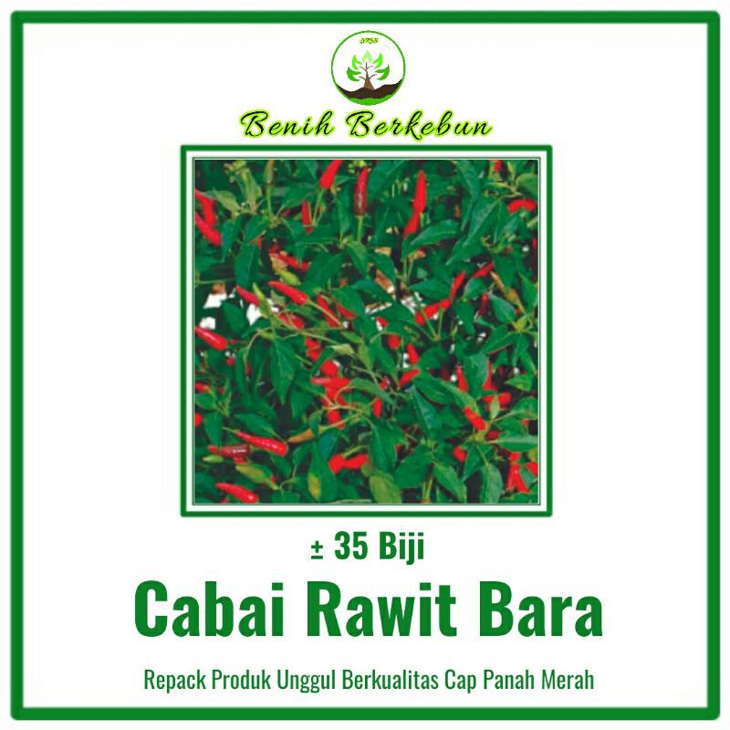 35 Benih Cabai Rawit Bara (Cap Panah Merah)