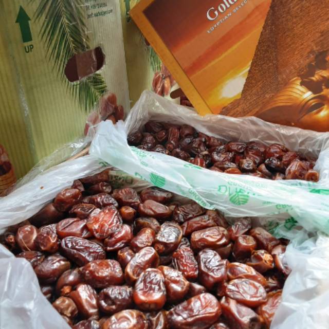 

KURMA MESIR (GOLDEN VALLEY)