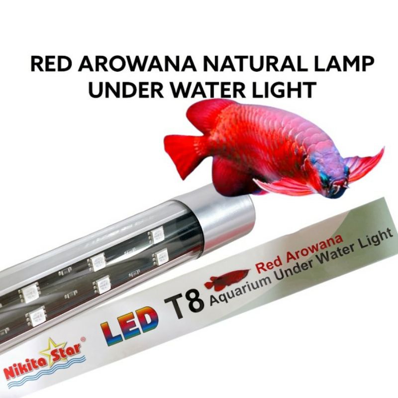 NIKITA STAR T8 800 LAMPU CELUP LED TANNING RED AROWANA LOUHAN ARWANA T8 80 CM NIKITA STAR