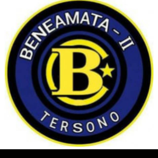 LCD NOKIA 5130 ORIGINAL