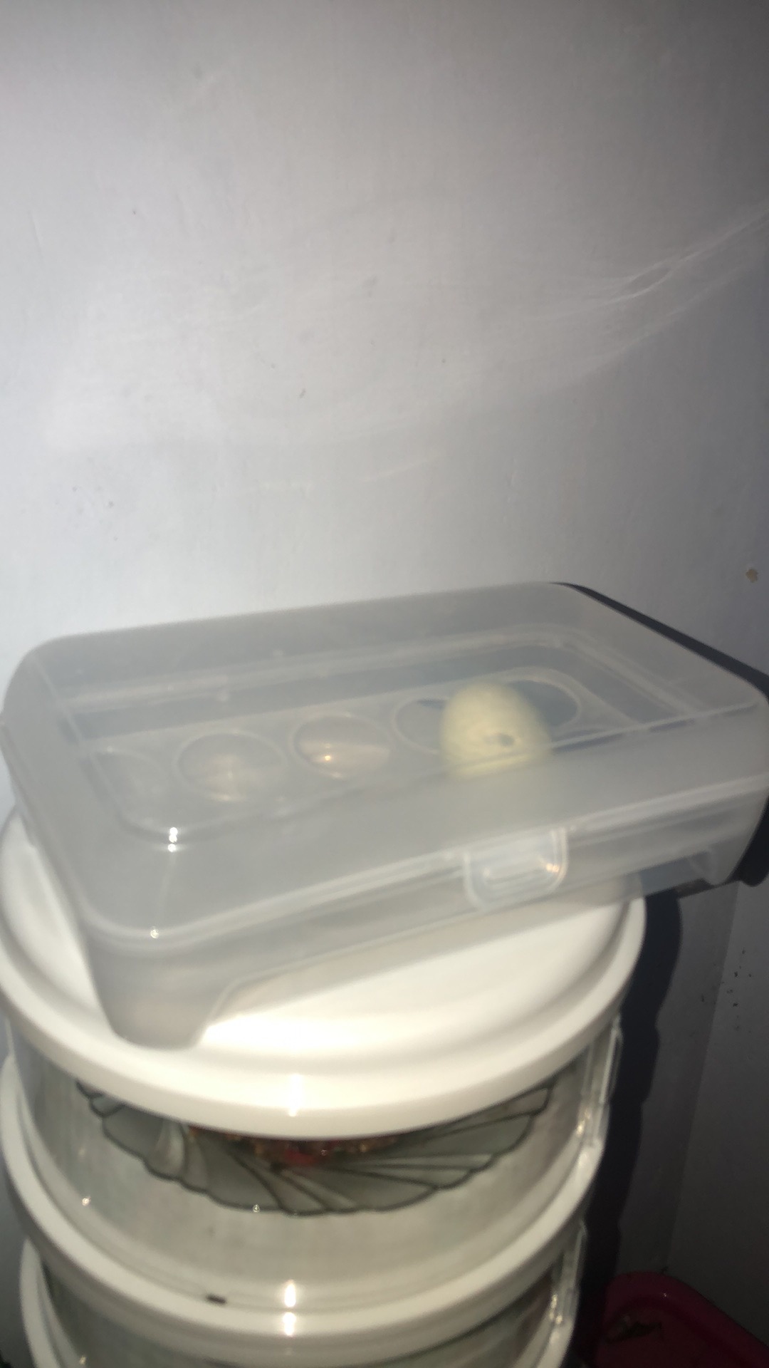 Kotak Telur  / Egg Box Isi 15 Sekat Organizer Bags Eggs Storage Kulkas Jumbo Dapur Masakan Bumbu New