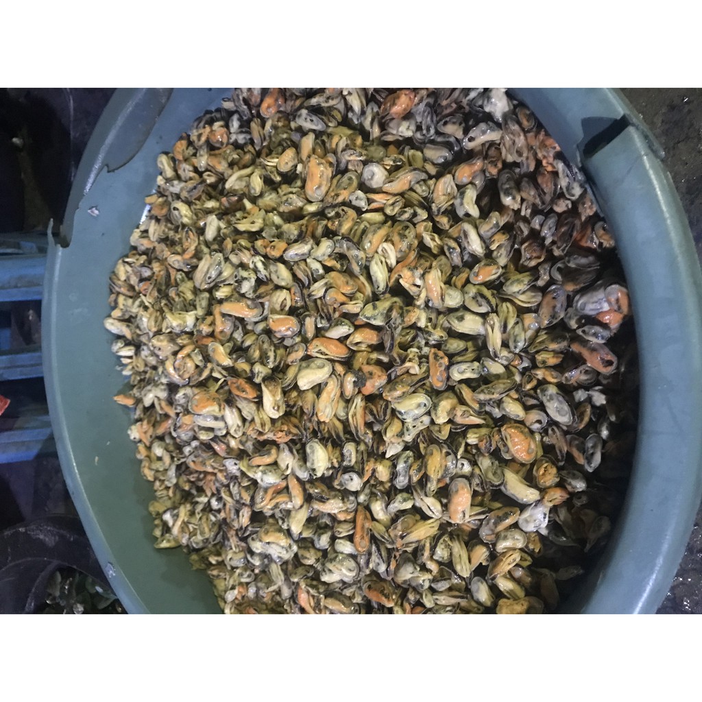 

Kerang Hijau Kupas 1KG