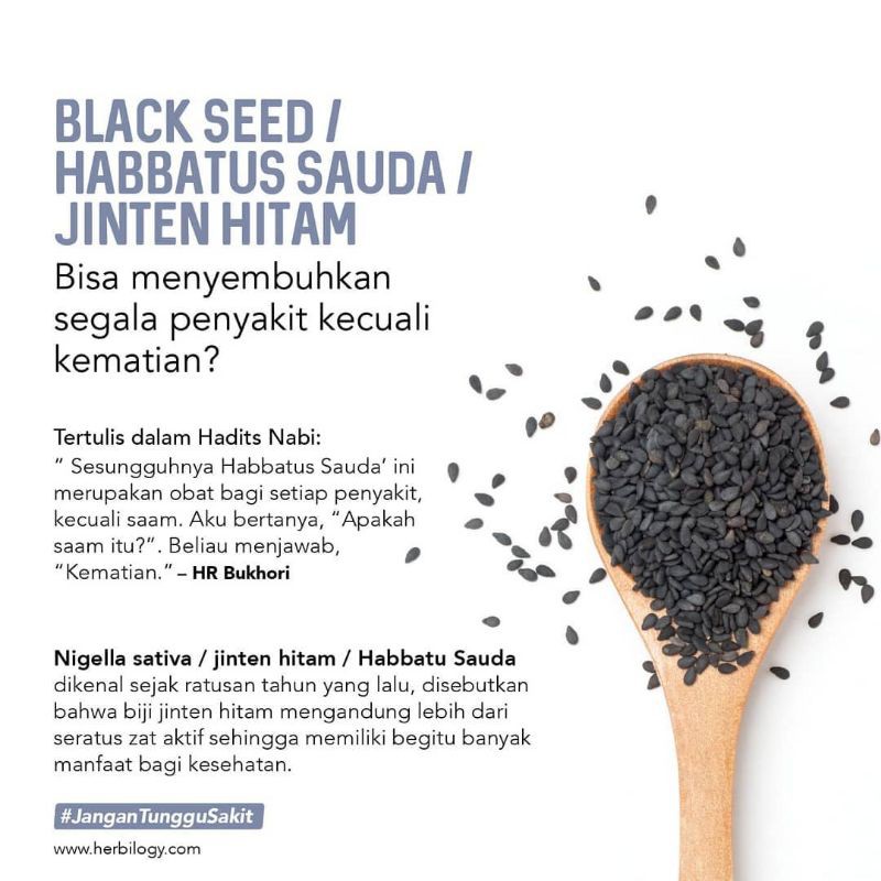 Herbilogy Capsule Habattusaudah Jinten Hitam Asi booster minuman kesehatan