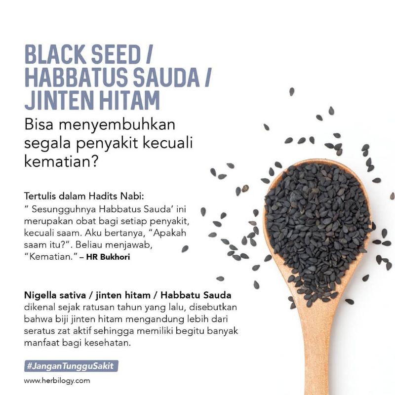 Herbilogy Capsule Habattusaudah Jinten Hitam Asi booster minuman kesehatan