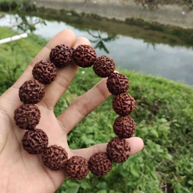 GELANG JENITRI RUDRAKSHA MUKHI 6 18MM-20 MM